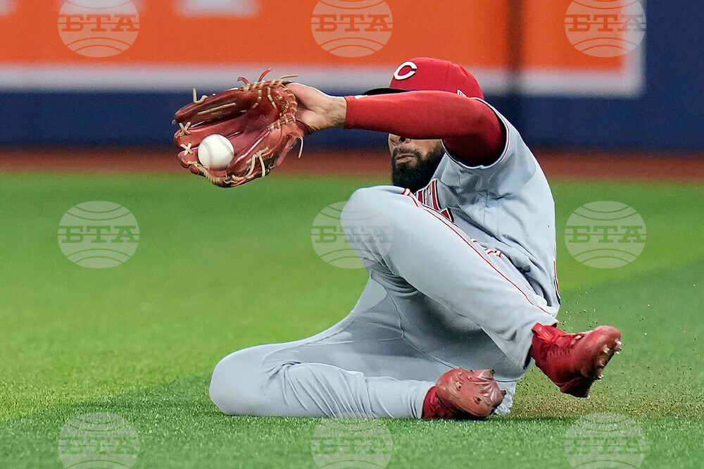 Reds Rays Baseball