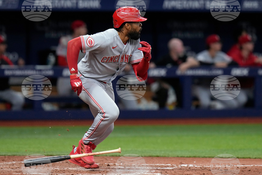 Reds Rays Baseball