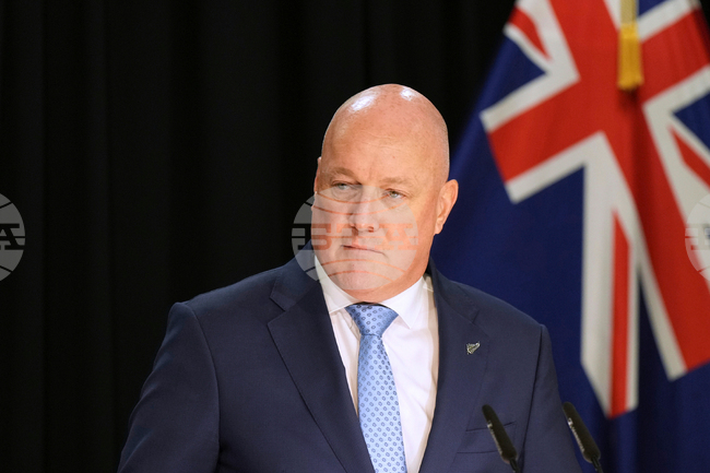 New Zealand Politics