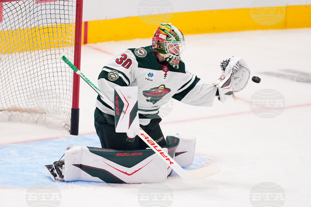 Wild Stars Hockey