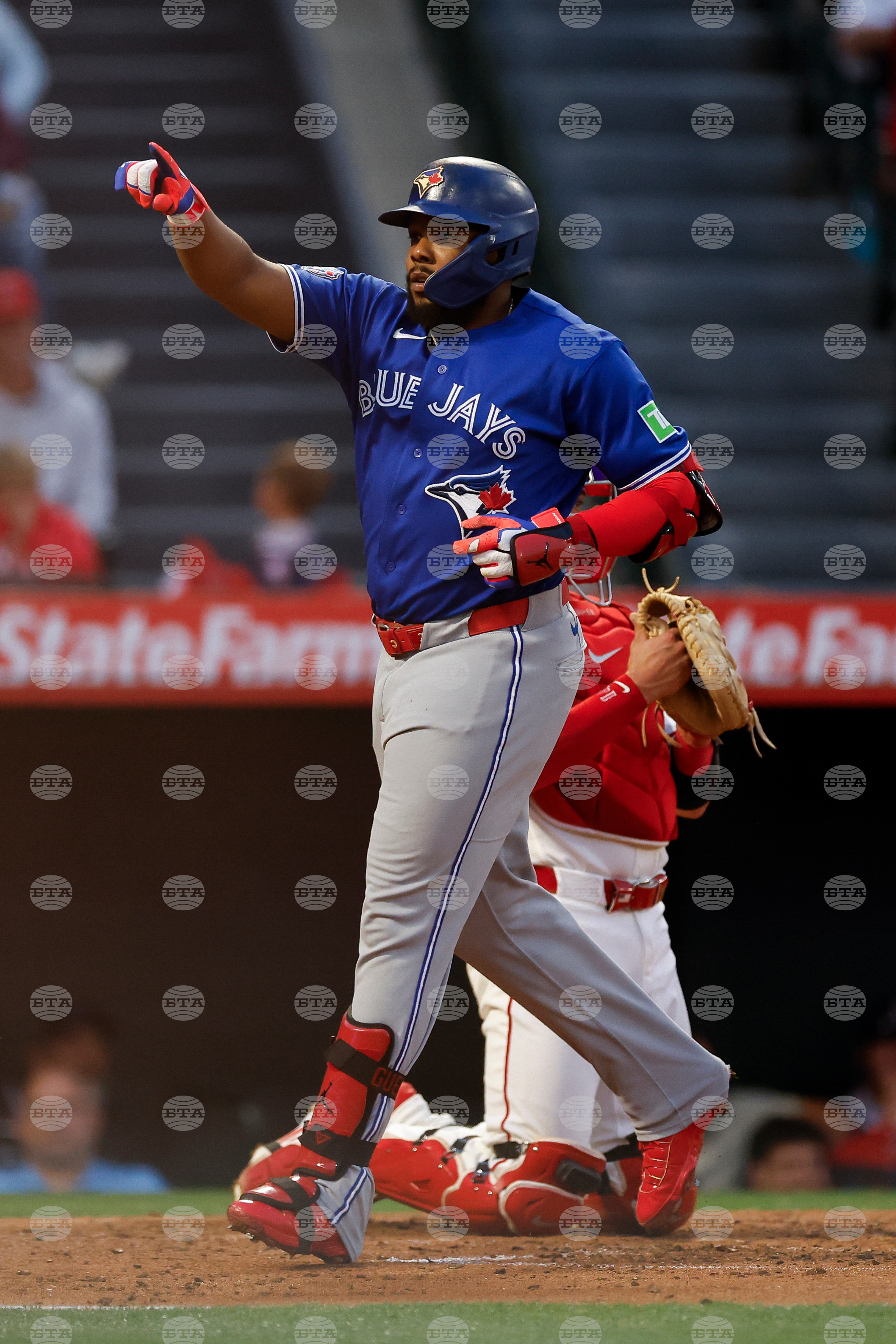 Blue Jays Angels Baseball