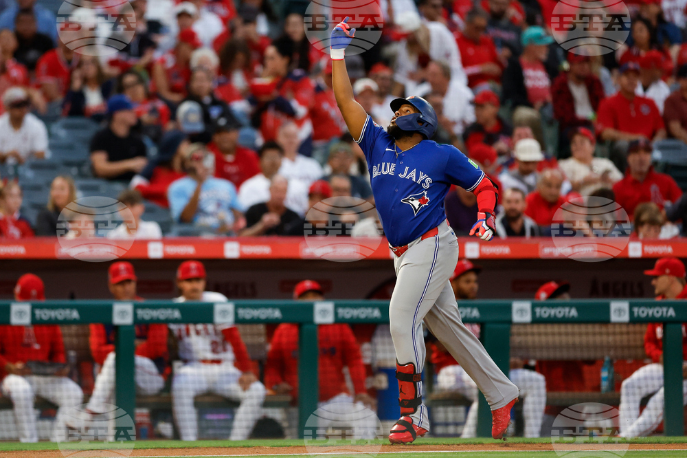 Blue Jays Angels Baseball