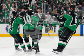 Wild Stars Hockey