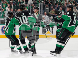 Wild Stars Hockey
