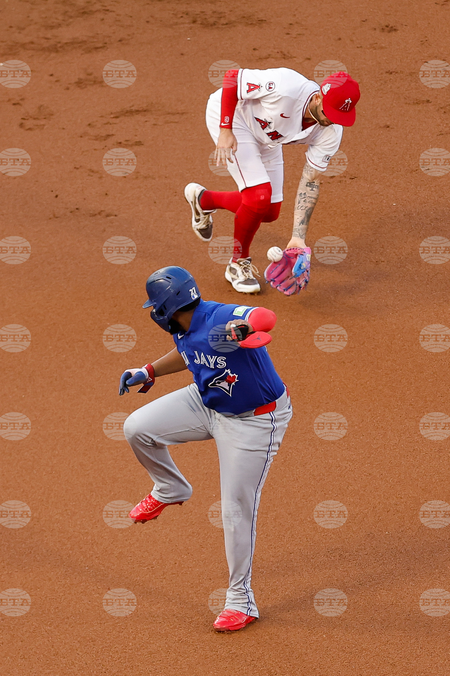 Blue Jays Angels Baseball