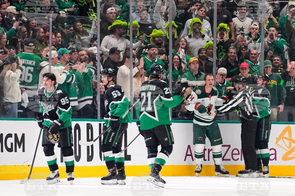 Wild Stars Hockey