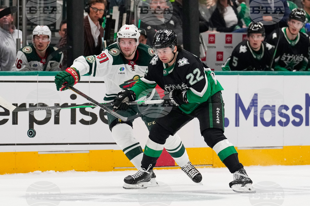 Wild Stars Hockey