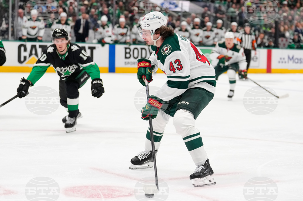 Wild Stars Hockey