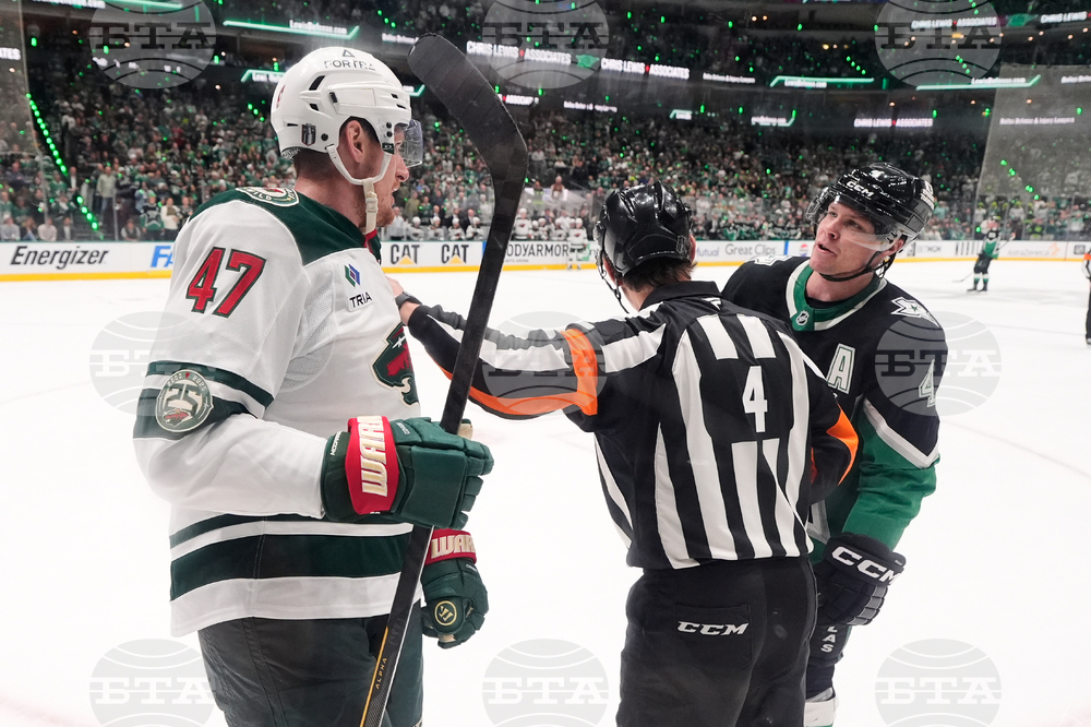 Wild Stars Hockey