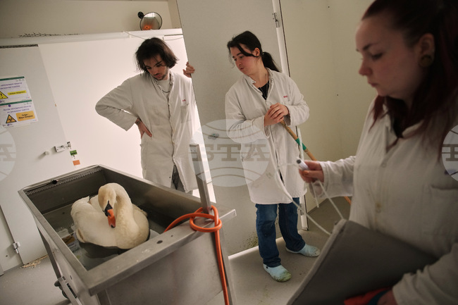 France Wildlife Hospital