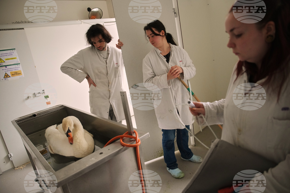 France Wildlife Hospital