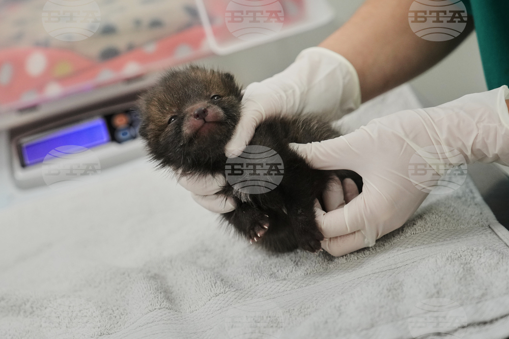 France Wildlife Hospital