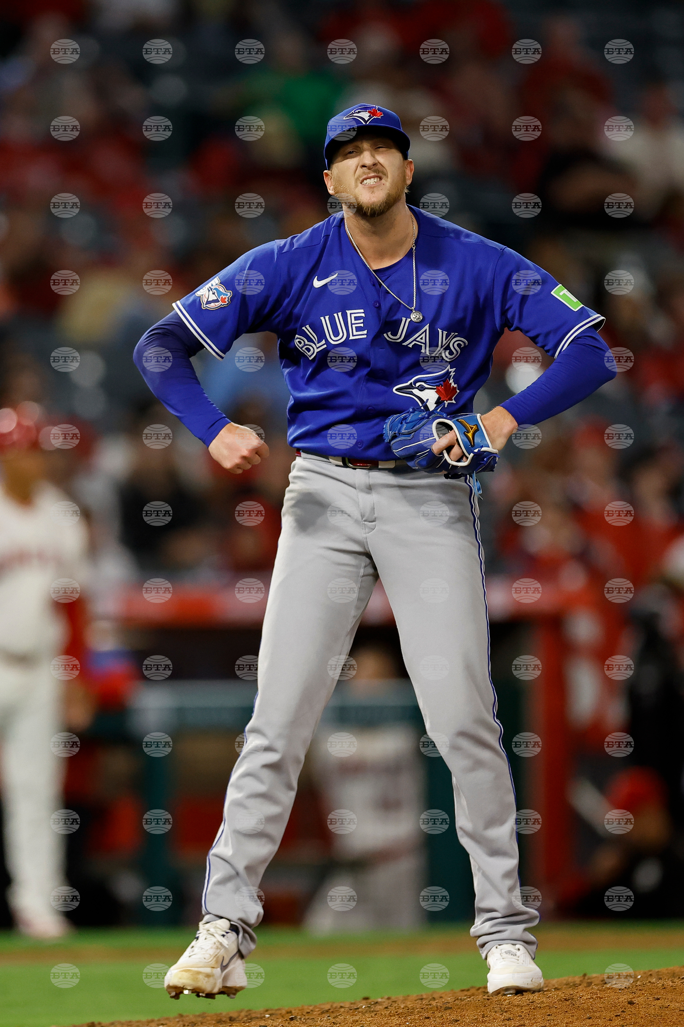 Blue Jays Angels Baseball