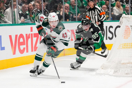 Wild Stars Hockey