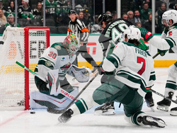 Wild Stars Hockey