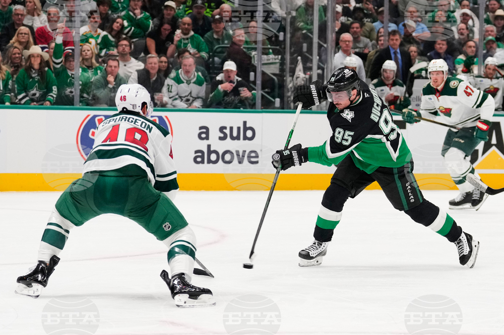 Wild Stars Hockey
