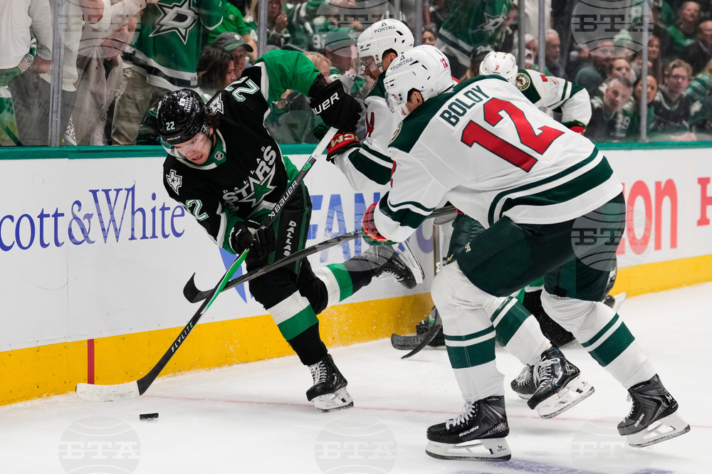 Wild Stars Hockey