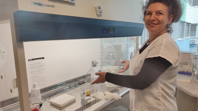 Микробиолозите от УМБАЛ в Бургас ще представят случаи с открити редки бактерии на научен форум, съобщиха от болницата