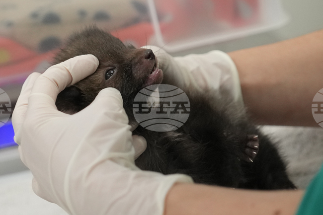 APTOPIX France Wildlife Hospital