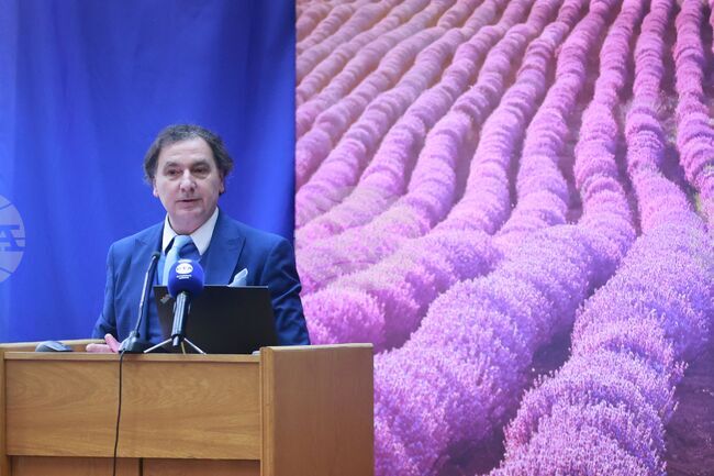 Summer Tourism Outlook Not Critical but Concerning, Says National Tourism Board Deputy Chair