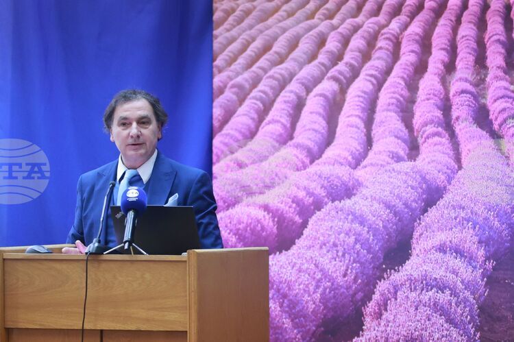 Summer Tourism Outlook Not Critical but Concerning, Says National Tourism Board Deputy Chair