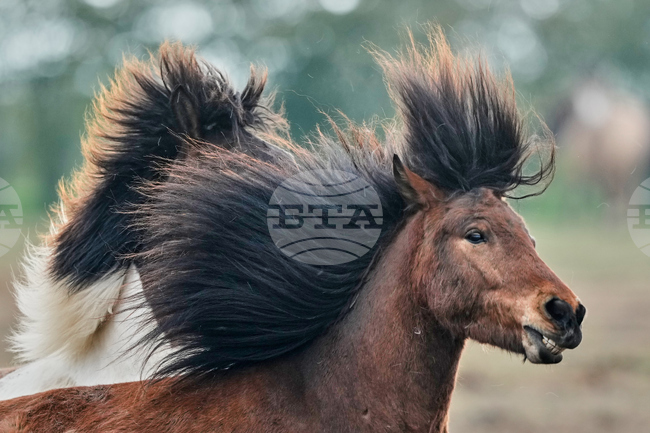 APTOPIX Germany Daily Life