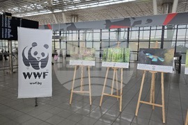 „Природата има нужда от нас“ - изложба