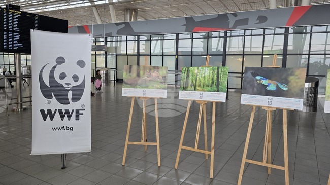 Фотографска изложба представя дейността на WWF по опазване на природата в България през последните 20 години