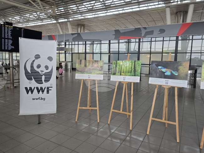 Фотографска изложба представя дейността на WWF по опазване на природата в България през последните 20 години