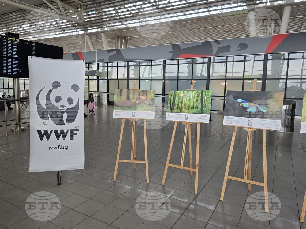 „Природата има нужда от нас“ - изложба