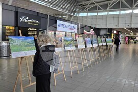 „Природата има нужда от нас“ - изложба