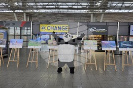 „Природата има нужда от нас“ - изложба