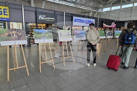 „Природата има нужда от нас“ - изложба