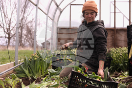 US Weather Temperature Swing