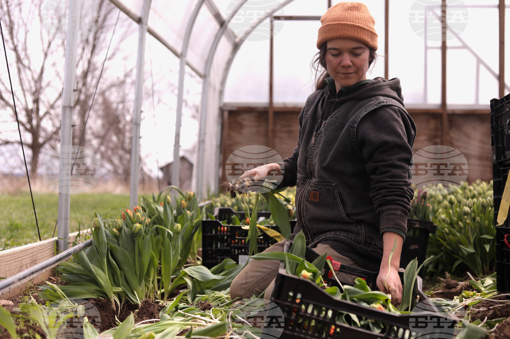 US Weather Temperature Swing