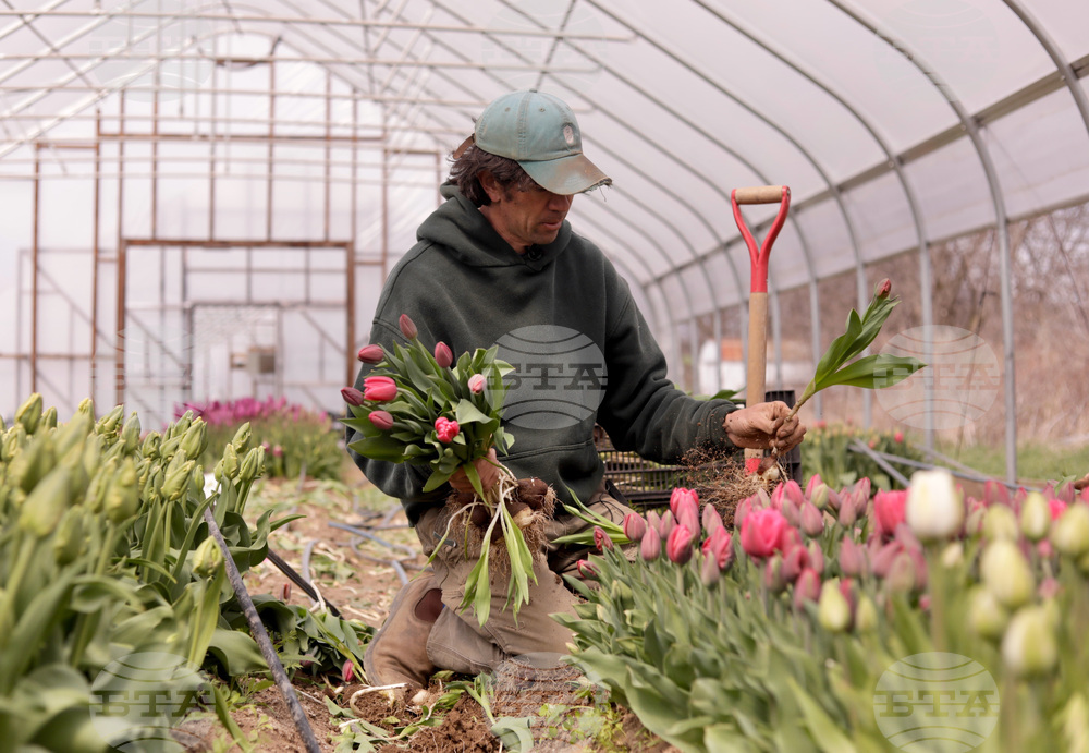 US Weather Temperature Swing