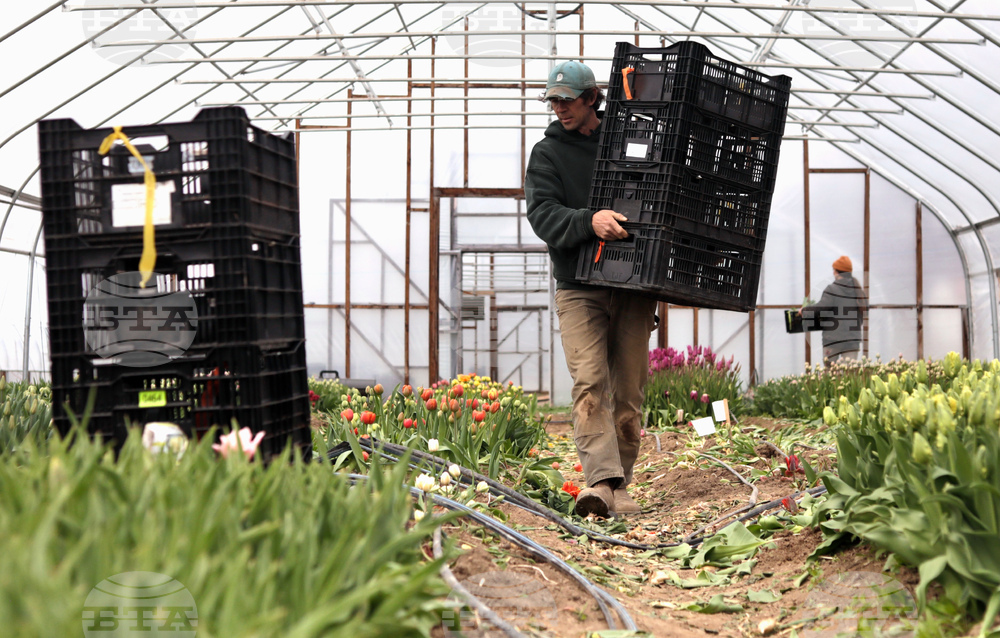 US Weather Temperature Swing