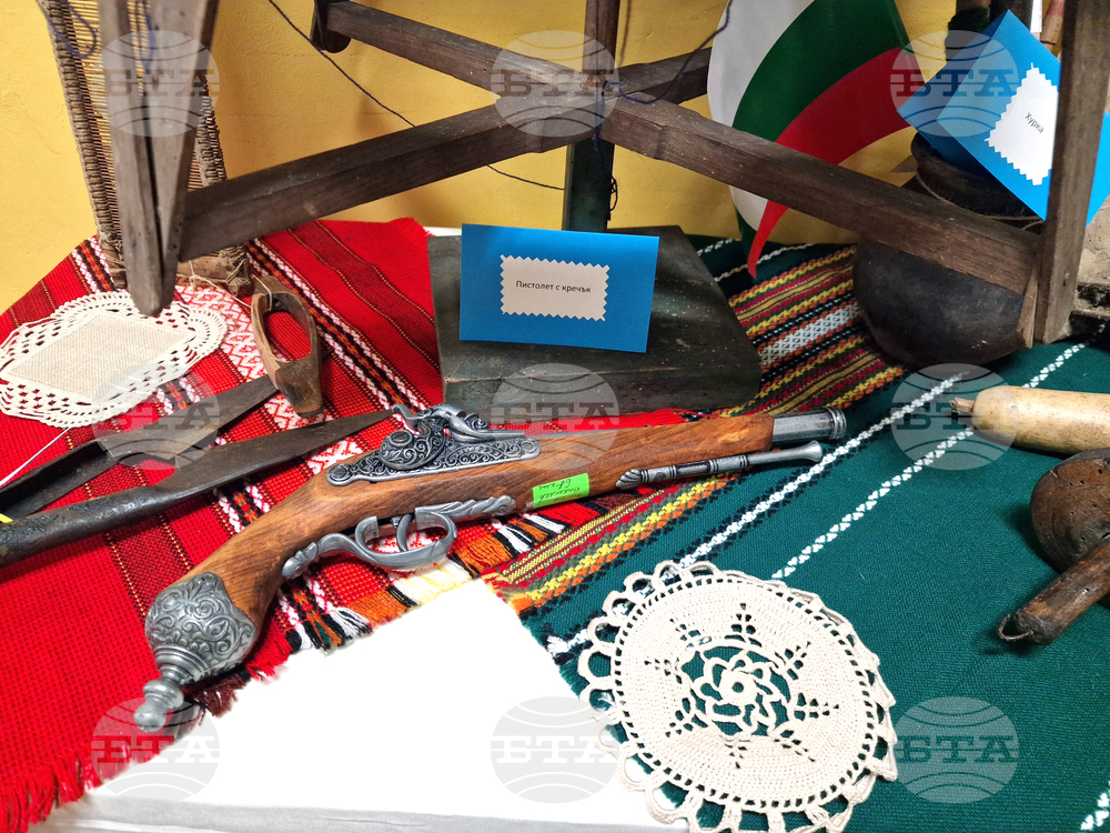 Монтана - училище - изложба