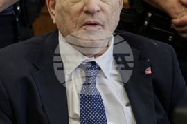 Sexual Misconduct Harvey Weinstein