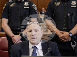 Sexual Misconduct Harvey Weinstein