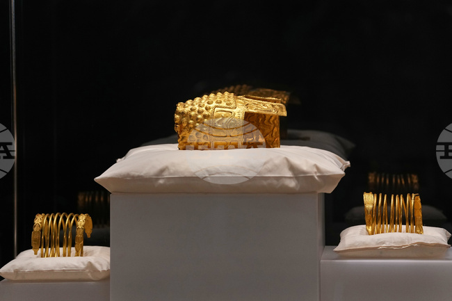 Romania Netherlands Art Heist