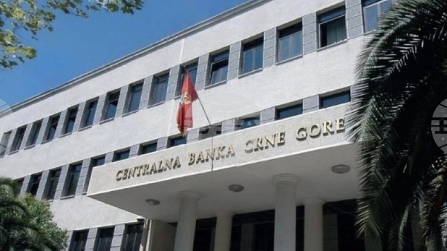 МИНА: Нетните преки чуждестранни инвестиции в Черна гора през януари възлизат на 19,53 милиона евро