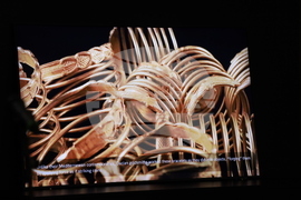 Румъния - Букурещ - откраднато дакийско съкровище - завръщане