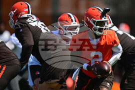 Browns Football
