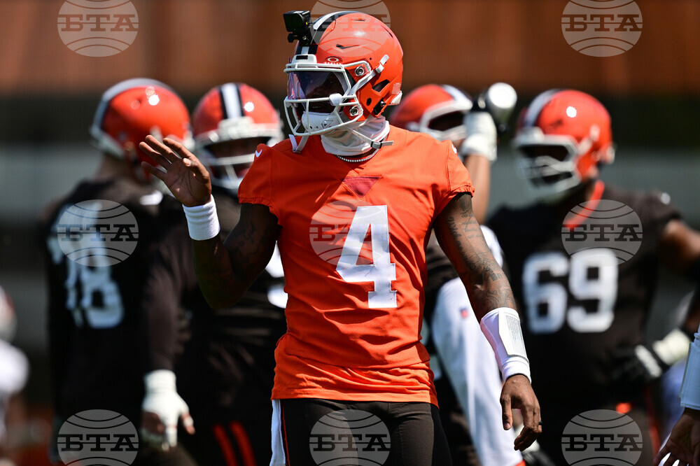 Browns Football
