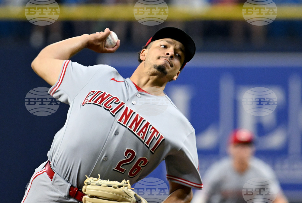 Reds Rays Baseball