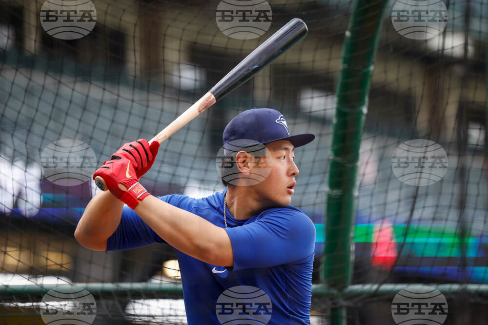 Blue Jays Angels Baseball