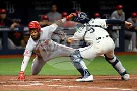 Reds Rays Baseball