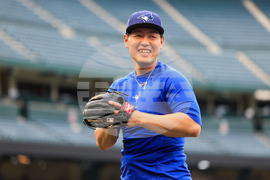 Blue Jays Angels Baseball