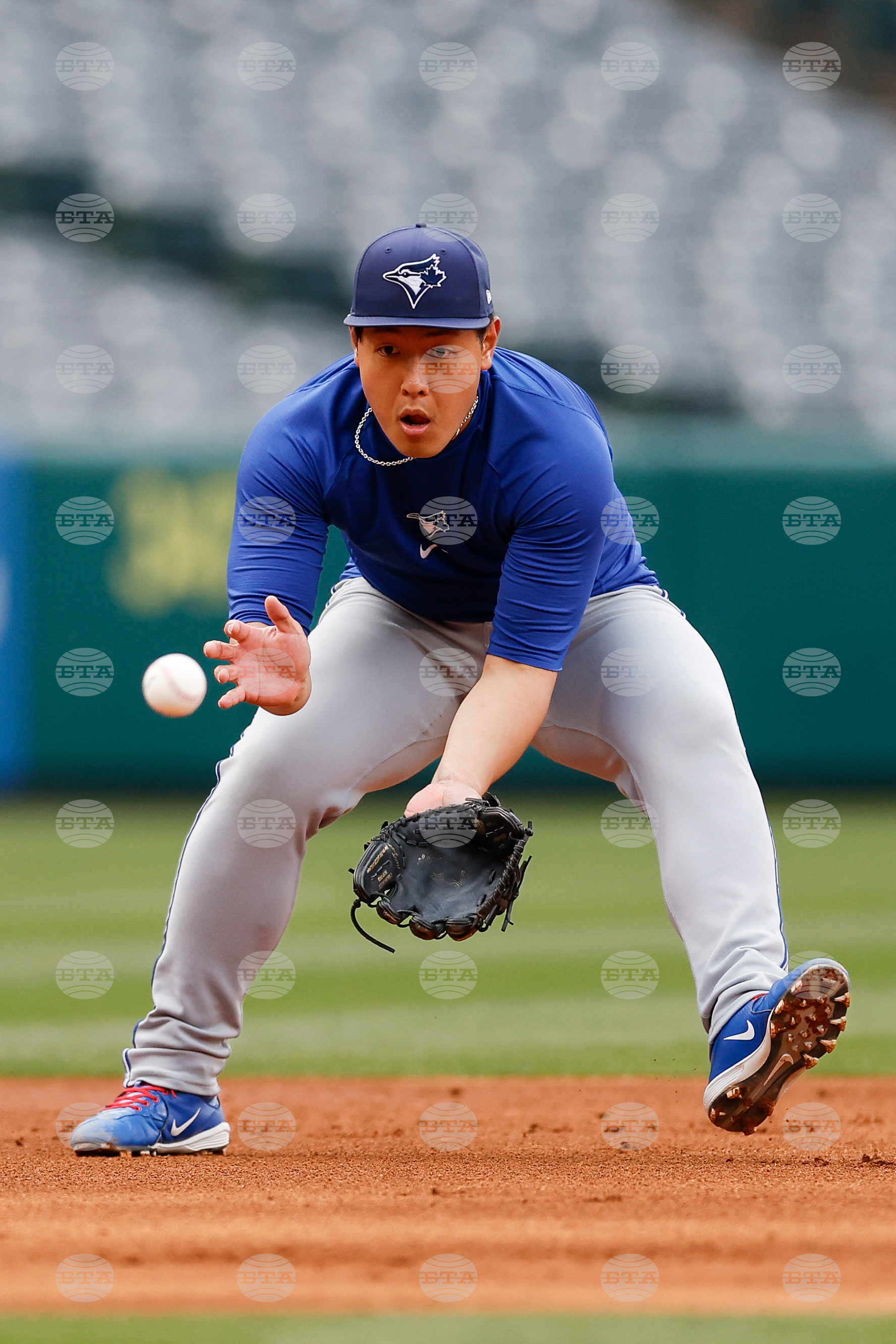 Blue Jays Angels Baseball